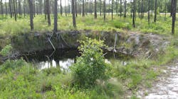 3688202336 Fe7ef753a3 O 61fd451f236dd 3688202336 Fe7ef753a3 O 61fd451f236dd