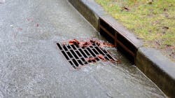 38476980 Vismax Dreamstime 61f9493ba7dbf 38476980 Vismax Dreamstime 61f9493ba7dbf