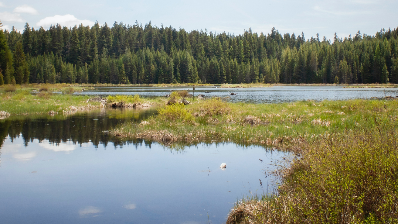 Jonathan Lampel Mc Bj0zf1 J9 Y Unsplash 6218f0a3768c4