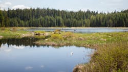 Jonathan Lampel Mc Bj0zf1 J9 Y Unsplash 6218f0a3768c4 Jonathan Lampel Mc Bj0zf1 J9 Y Unsplash 6218f0a3768c4