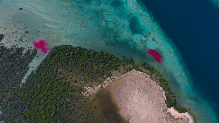Unmanned aerial vehicles and harmless dyes can be used to monitor the movement of water between habitats along the Red Sea coast.