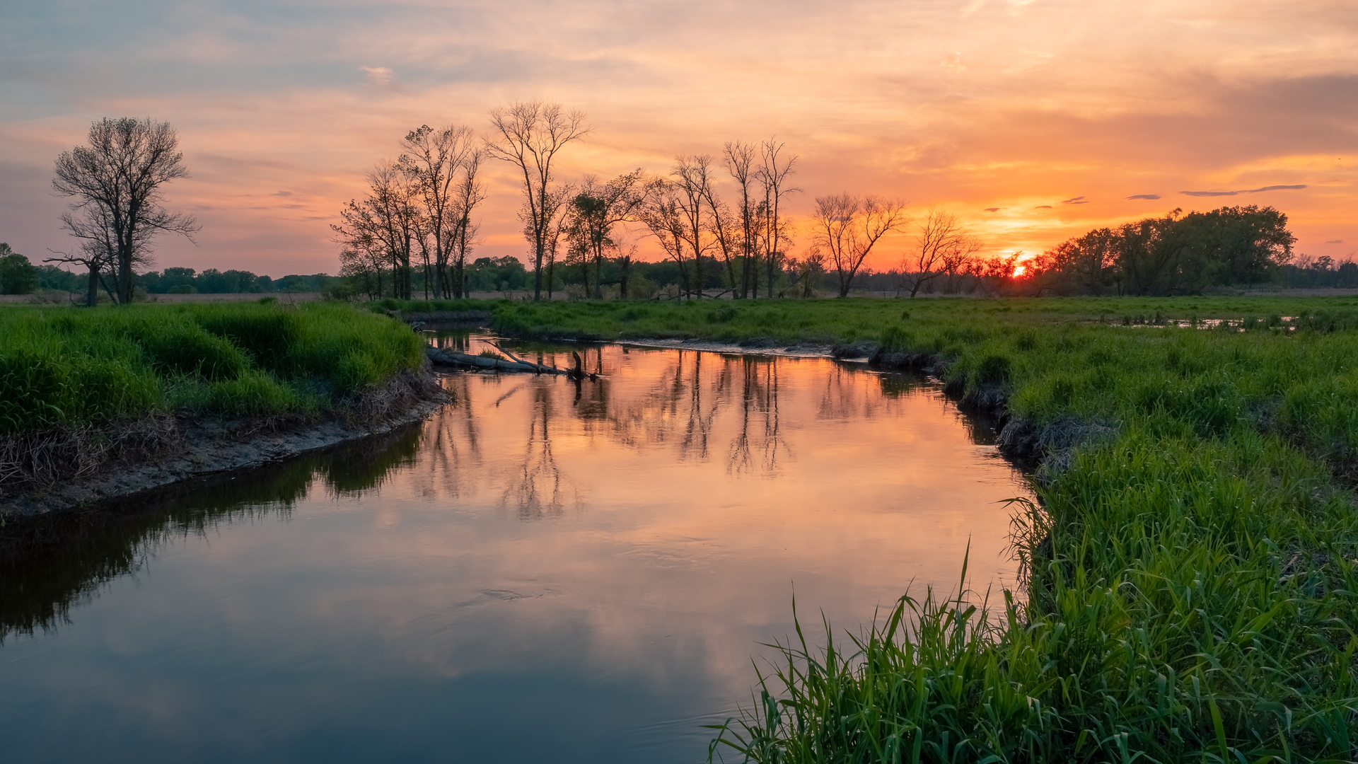 Dave Hoefler Hq Uyuc Zy8 Unsplash 623b40cb3ca66