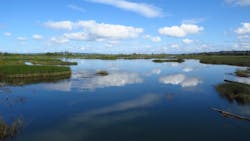 David Lang J C0z N We J3 Nu Unsplash 621f7e52d0f5f David Lang J C0z N We J3 Nu Unsplash 621f7e52d0f5f