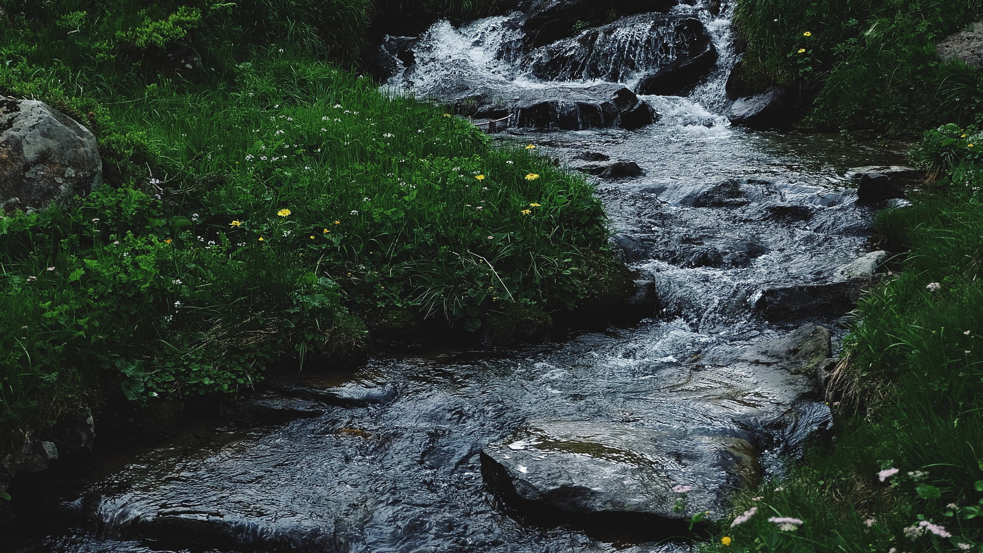 Oleksandra Bardash 9fq Mbeny89c Unsplash 6231f4f70f6e4