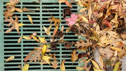 In the Midwest, the majority of the phosphorus loads entering storm drains come from fallen leaves, which land in the street, get run over by cars, and create a byproduct that leaches into waterways. In the Midwest, the majority of the phosphorus loads entering storm drains come from fallen leaves, which land in the street, get run over by cars, and create a byproduct that leaches into waterways.