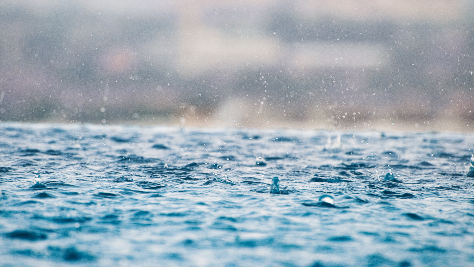 Max 22x7fx Fpl 8 Unsplash 6267e9c6aa3e7