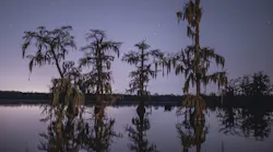 Tyler Domingue 4daxpx F9ca A Unsplash