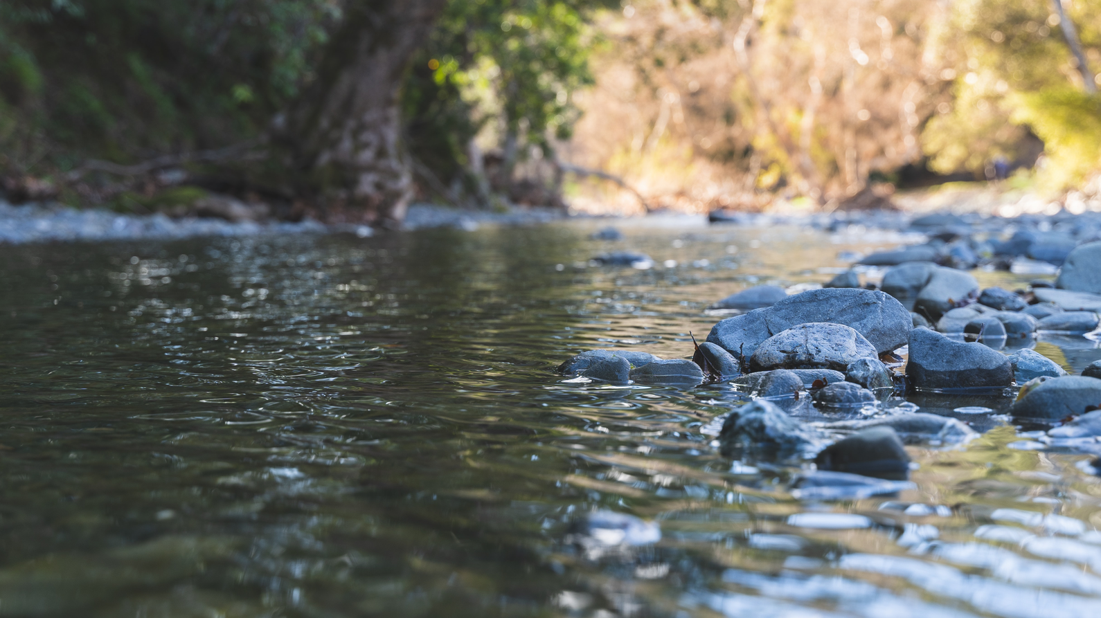 Y S Edvr Vruag No Unsplash 6262a576dd37d