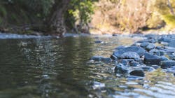 Y S Edvr Vruag No Unsplash 6262a576dd37d Y S Edvr Vruag No Unsplash 6262a576dd37d