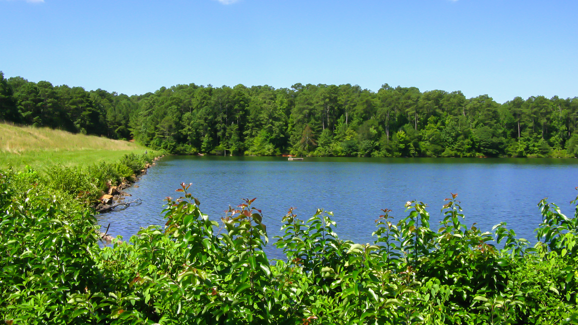 43083885 Rgodard Dreamstime com