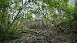 The pilot project hopes to demonstrate that adding timber in select places upstream can create habitat for fish and other aquatic life. The pilot project hopes to demonstrate that adding timber in select places upstream can create habitat for fish and other aquatic life.