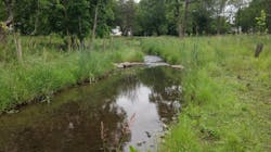 The grassy, open banks of the restored stream above allow lots of sunlight to reach slow-moving headwaters, which helps to absorb and reduce nitrogen loads. The grassy, open banks of the restored stream above allow lots of sunlight to reach slow-moving headwaters, which helps to absorb and reduce nitrogen loads.
