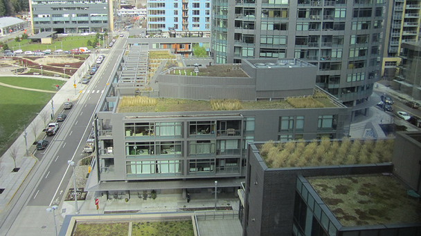 Low Res Greem Rooftops jpg 627294eda58b4