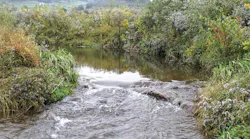 San Antonio River 1024x681