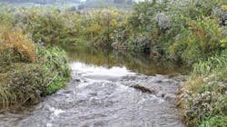 San Antonio River 1024x681 626fd14aec486 San Antonio River 1024x681 626fd14aec486