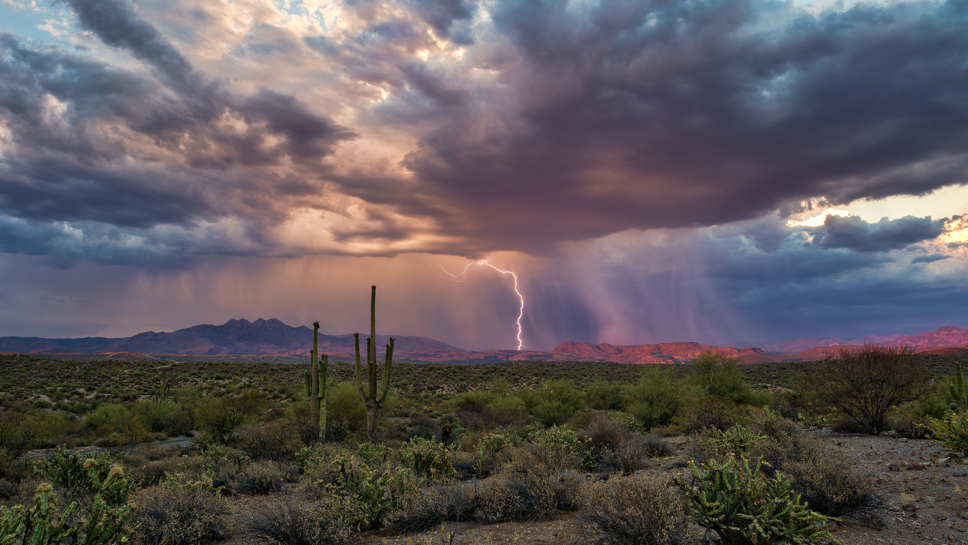 Dreamstime Xxl 137130692 627529fb9939e