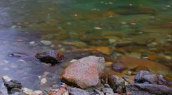 Dreamstime Xxl 6716584