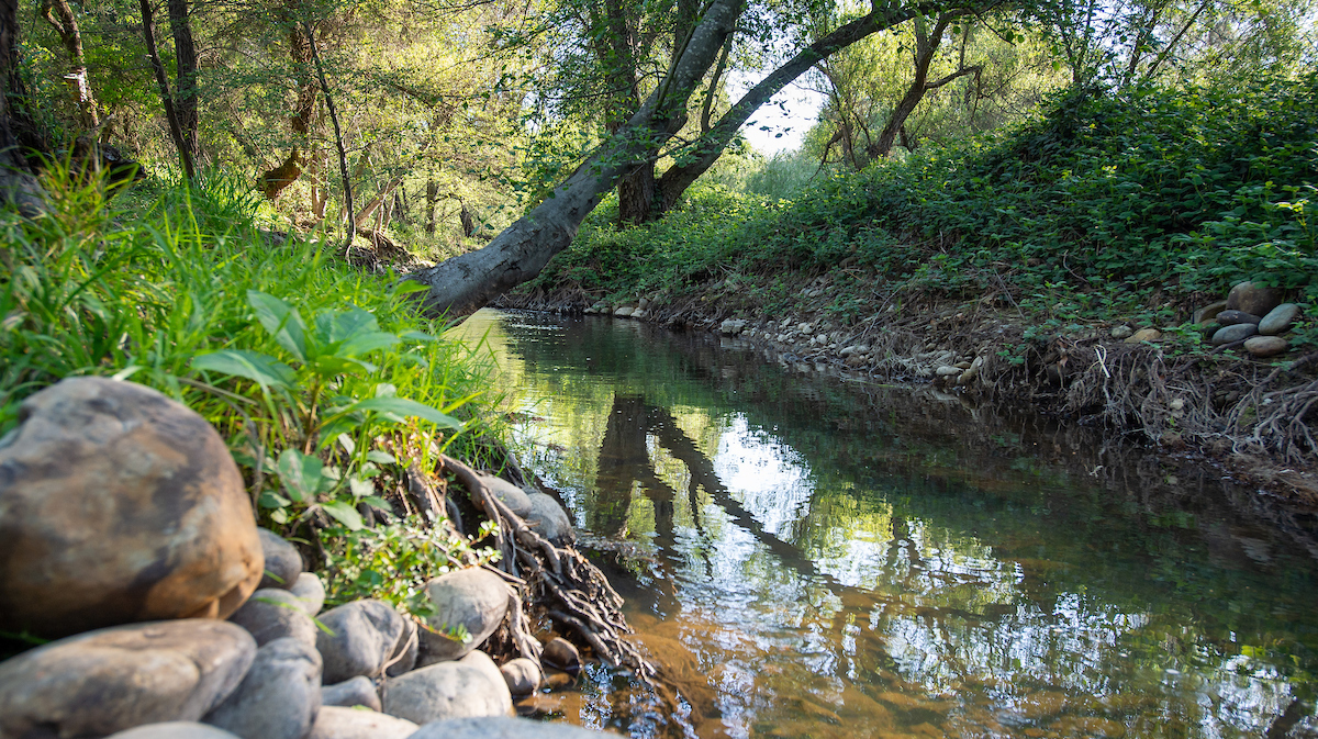 Kmg Folsom Gw 20556 6298c50ab626c