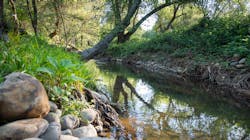 Kmg Folsom Gw 20556 6298c50ab626c Kmg Folsom Gw 20556 6298c50ab626c