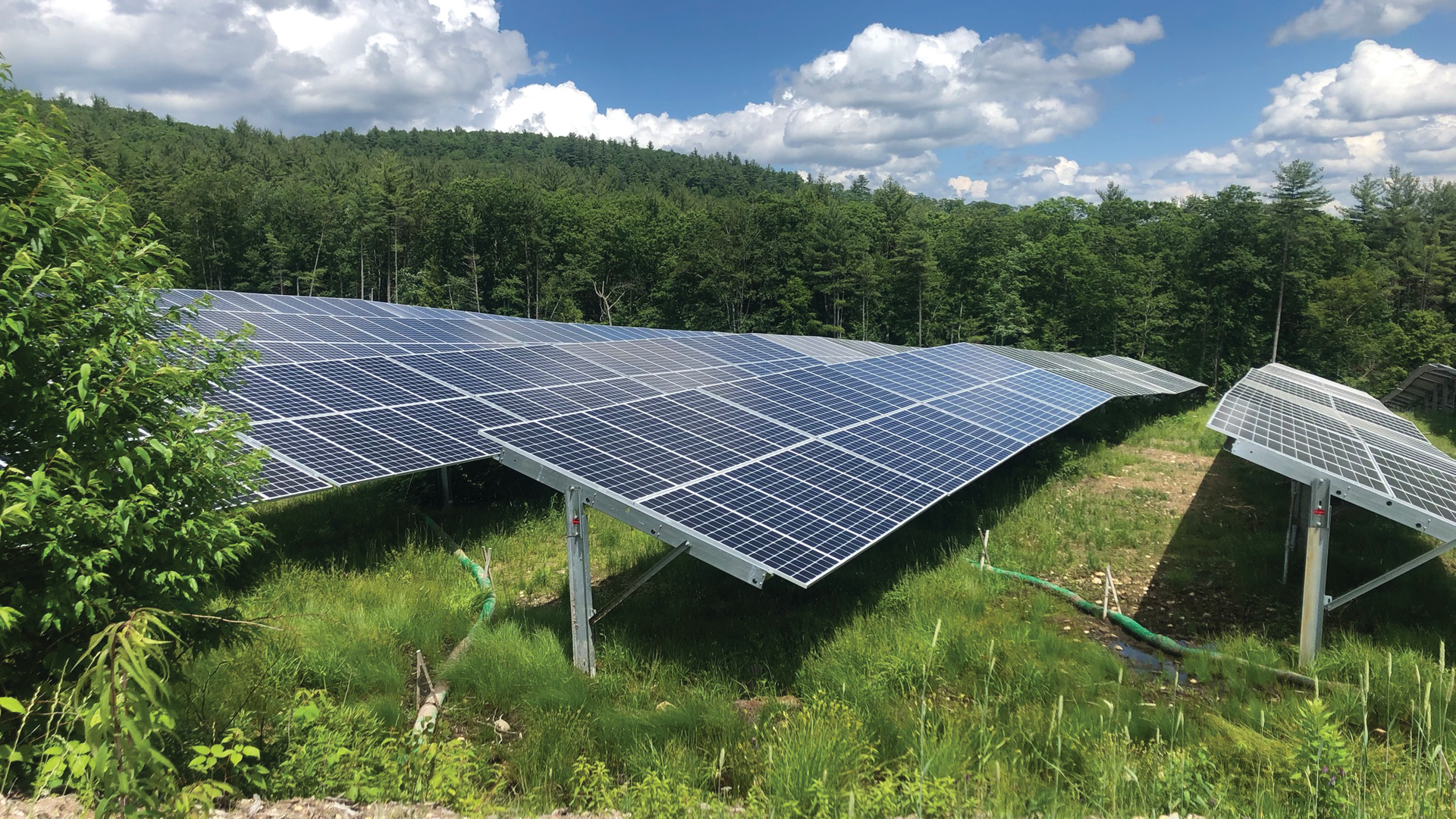 This Standard Solar project shows an example of how solar farms provide an opportunity for the vegetation establishment and erosion control industry in the future.