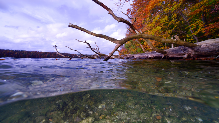 Low Res Stechlinsee Solvin Zankl Igb 01 jpg 62dff7e017668