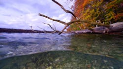 Low Res Stechlinsee Solvin Zankl Igb 01 jpg 62dff7e017668 Low Res Stechlinsee Solvin Zankl Igb 01 jpg 62dff7e017668