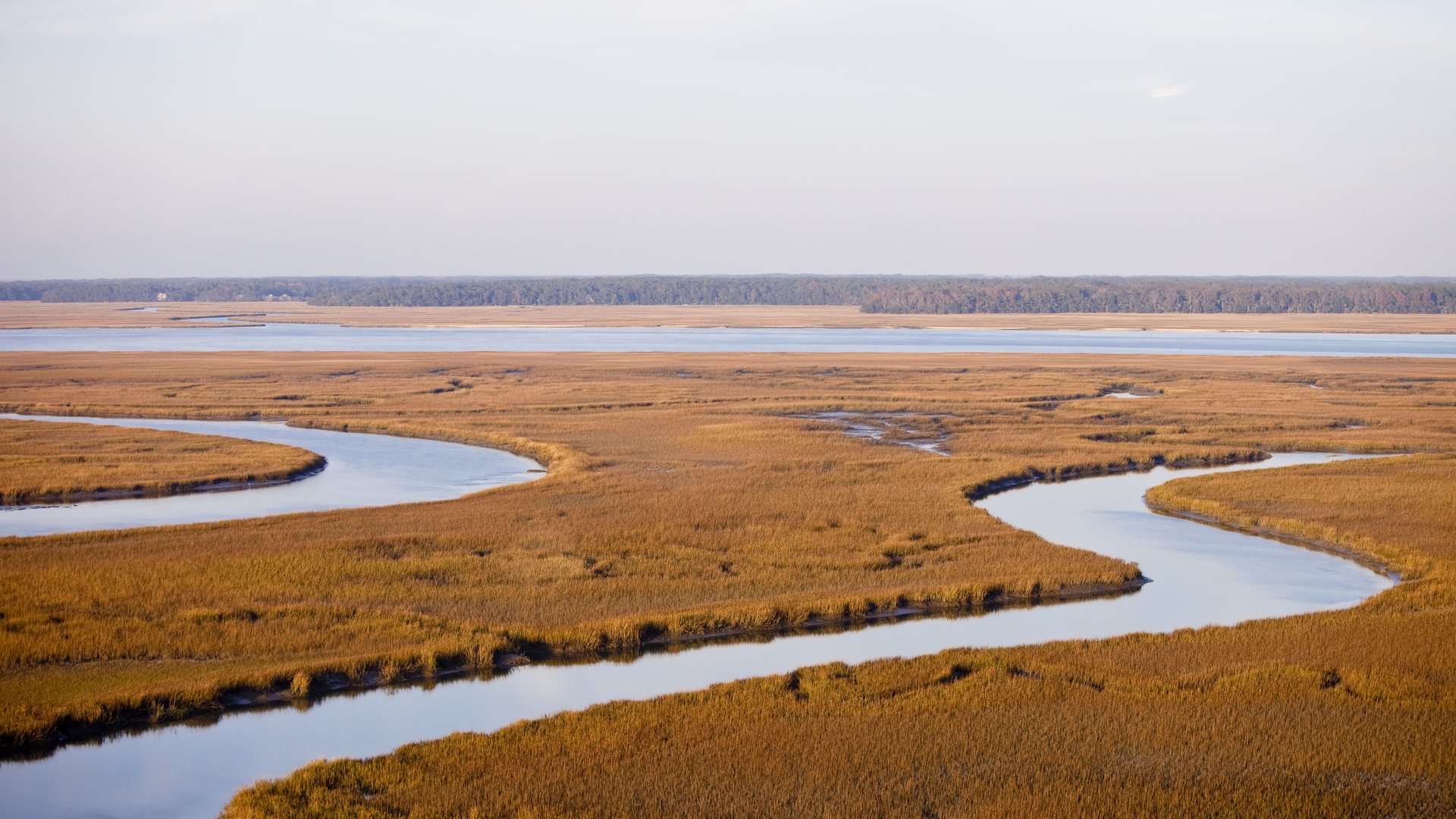 Dreamstime Xxl 12326811 62e14b4871f54