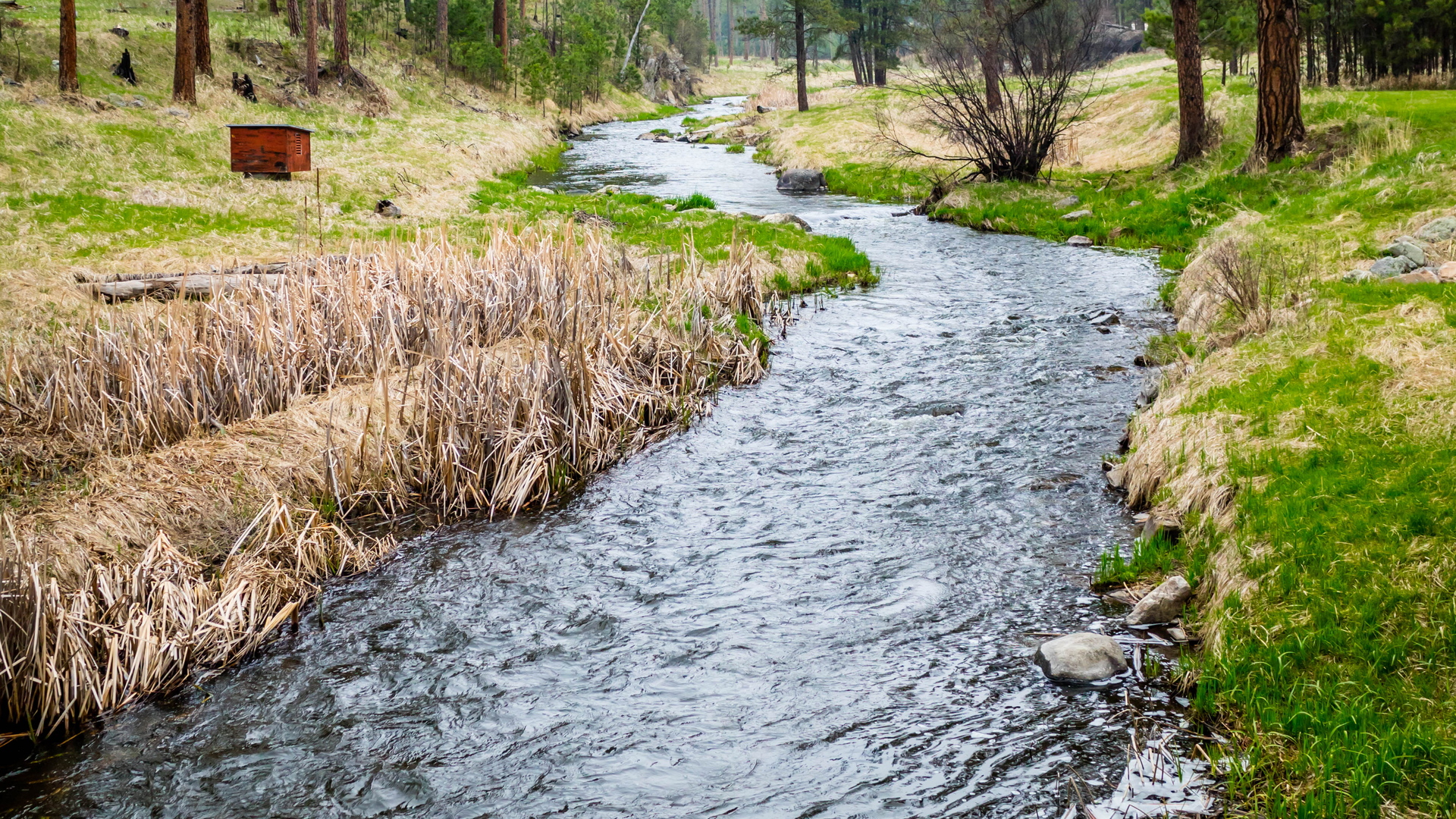 Dreamstime Xxl 157719242 62d56c38ec083