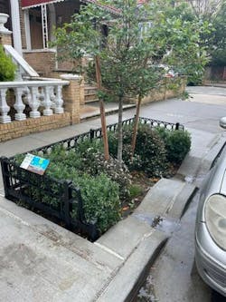 A right-of-way bioswale in Queens, N.Y., helps divert stormwater while educating residents about green infrastructure tactics through educational signage.
