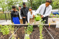 Students and faculty at M.S. 72 tend to the community garden created as an outdoor learning lab that provides hands-on educational opportunities about resiliency, biology, ecology, and more.