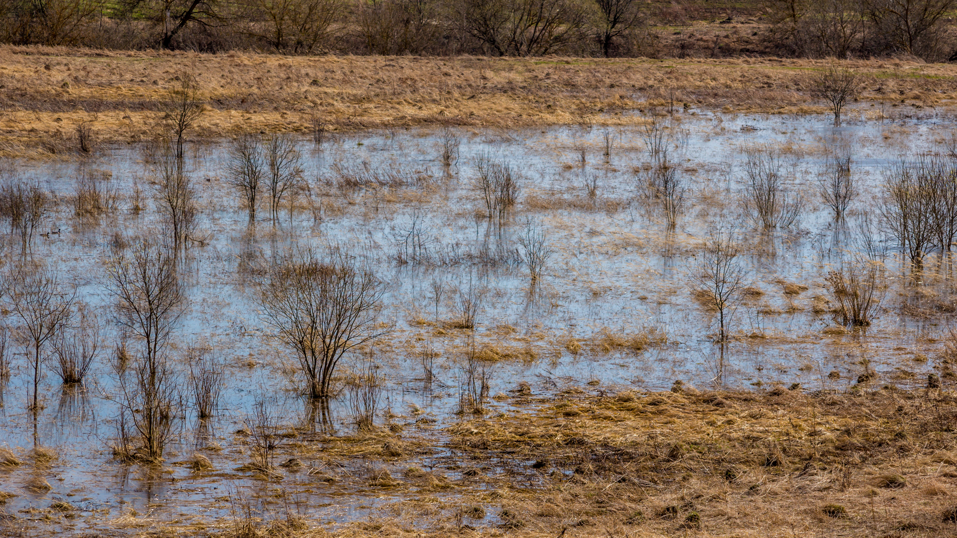 Dreamstime Xxl 124785405 630f62391f74e