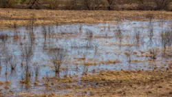 Dreamstime Xxl 124785405 630f62391f74e Dreamstime Xxl 124785405 630f62391f74e