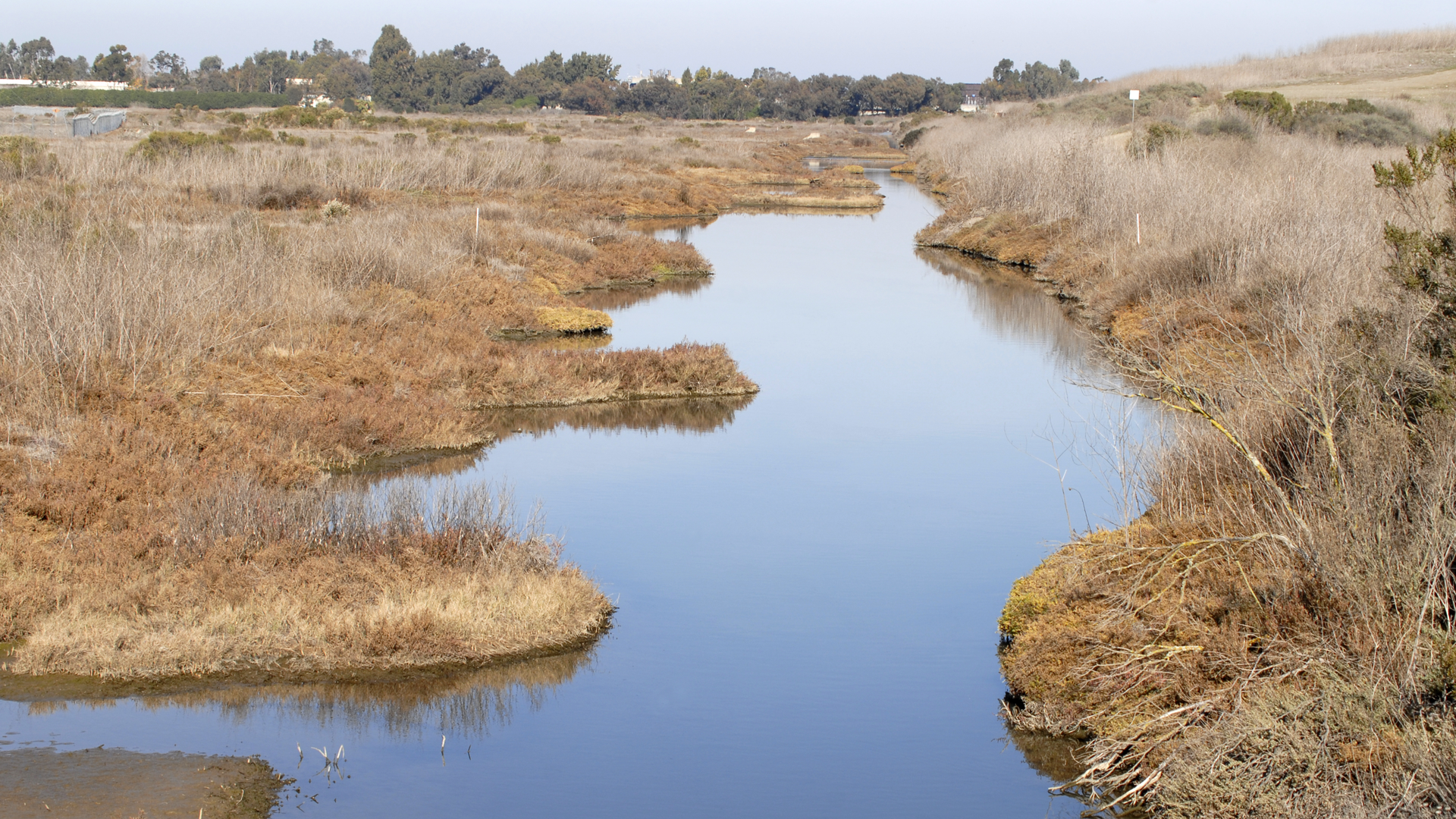 Dreamstime Xxl 14273006 62ffa839ee5f9