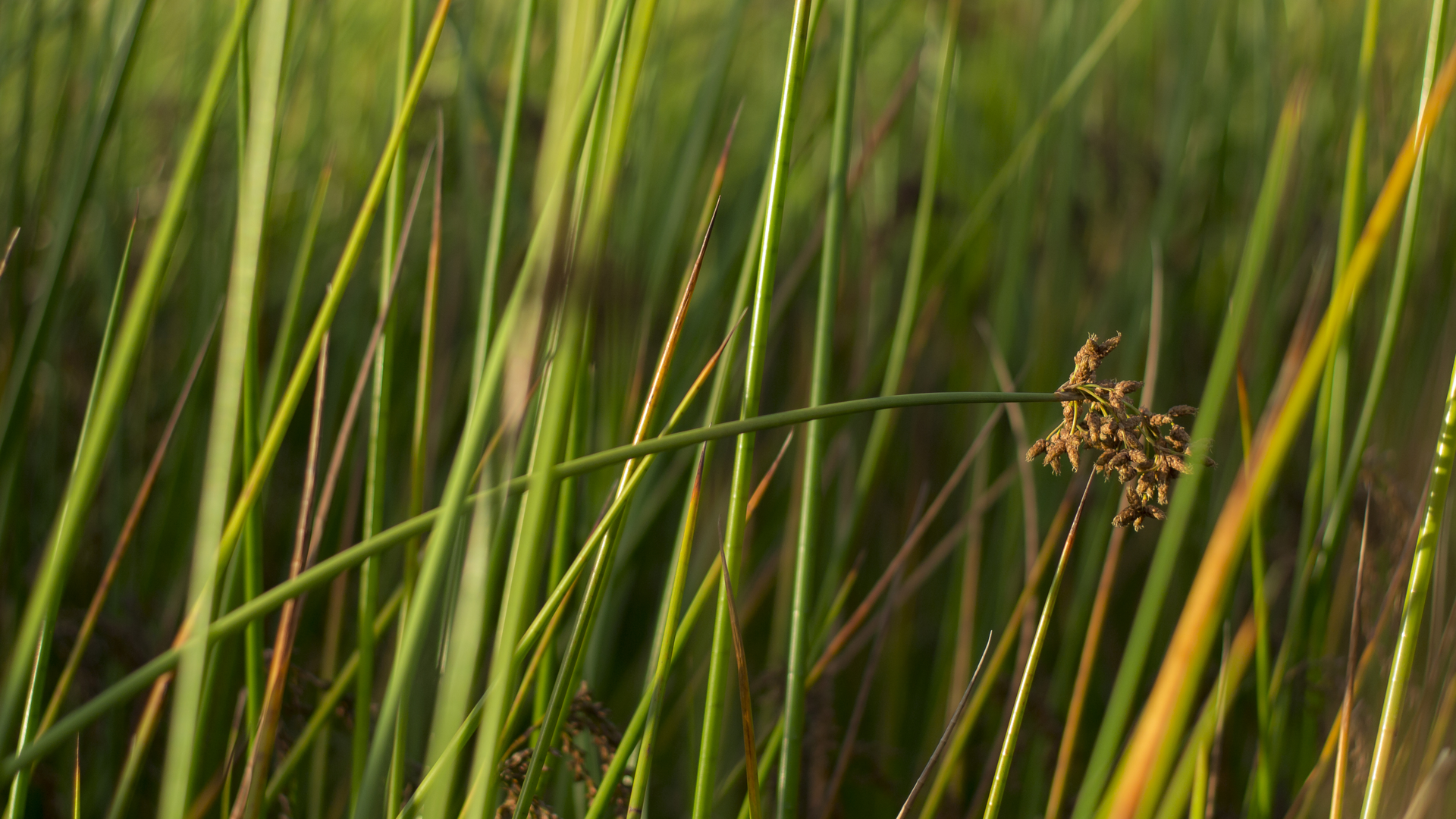 Dreamstime Xxl 146174767 62fd11b12666b