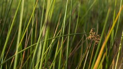 Dreamstime Xxl 146174767 62fd11b12666b Dreamstime Xxl 146174767 62fd11b12666b