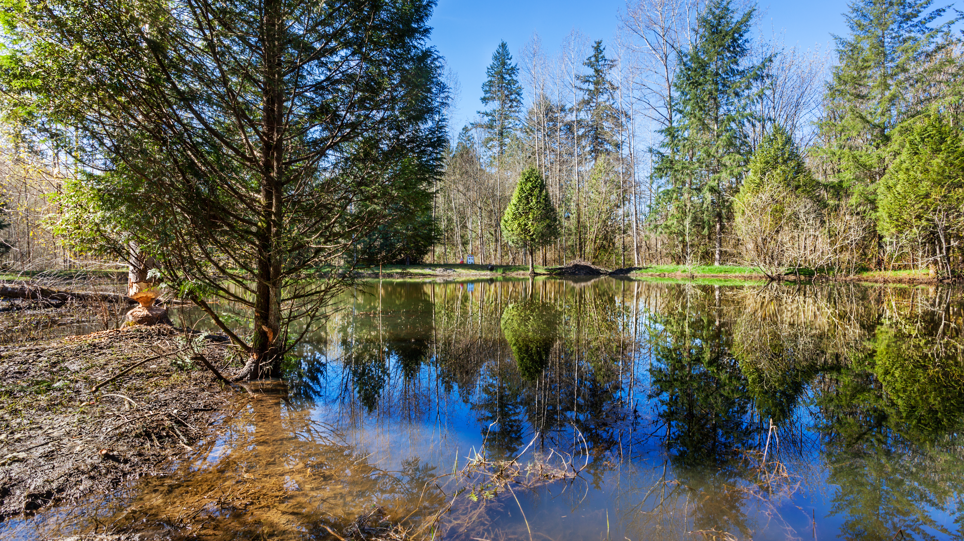 Dreamstime Xxl 184811273 62fa5d2491ffb