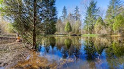 Dreamstime Xxl 184811273 62fa5d2491ffb Dreamstime Xxl 184811273 62fa5d2491ffb