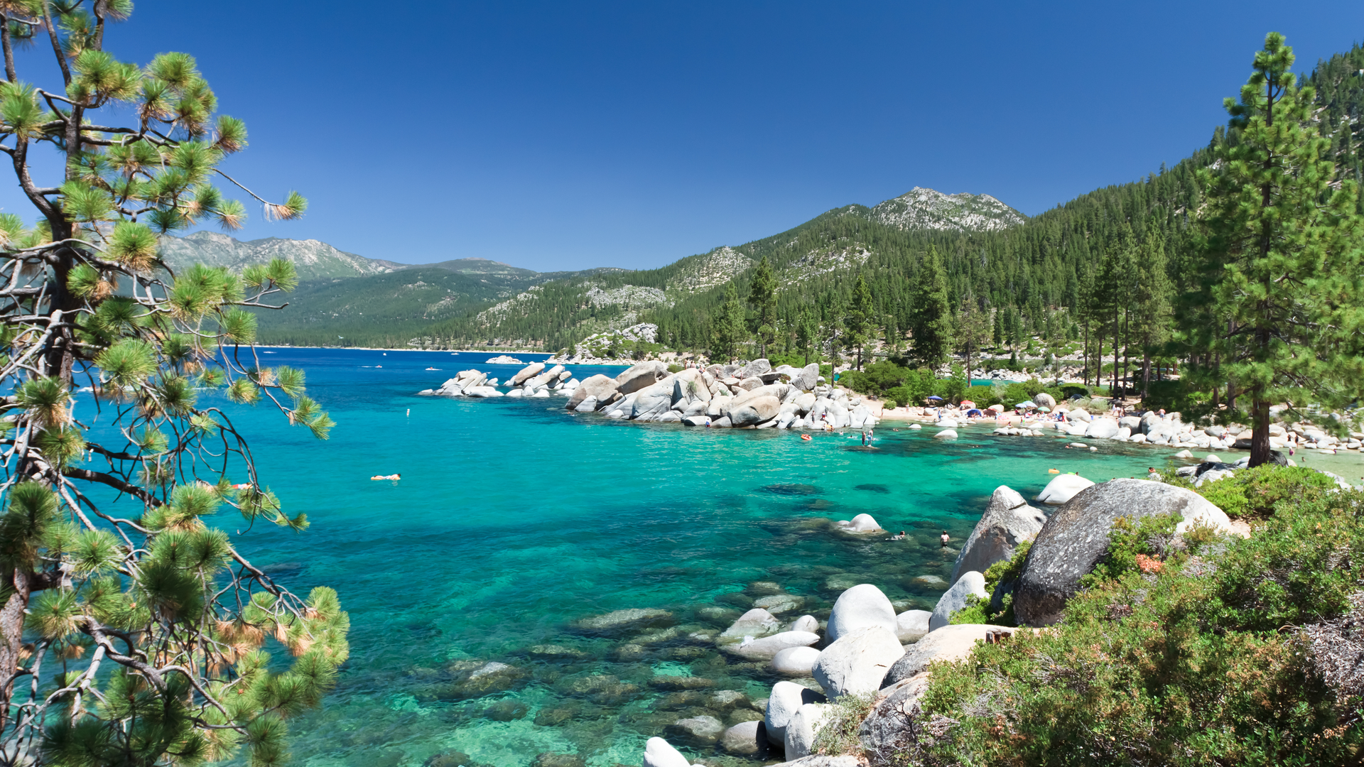 Dreamstime Xxl 18717984 63062e1ddaaa7