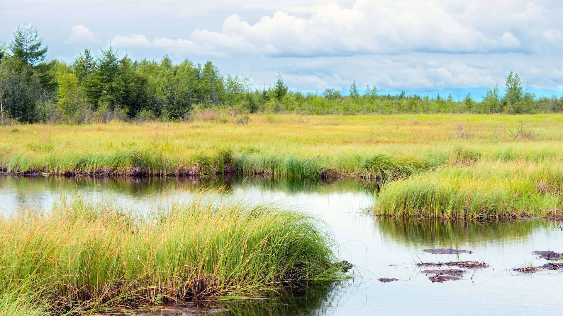 Dreamstime Xxl 37535834 62f2785f2dc95