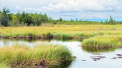 Dreamstime Xxl 37535834 62f2785f2dc95 Dreamstime Xxl 37535834 62f2785f2dc95