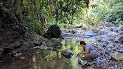 Costa Rican naturalist and Stanford research collaborator Dunia Villalobos examines a river in Las Cruces, Costa Rica. Costa Rican naturalist and Stanford research collaborator Dunia Villalobos examines a river in Las Cruces, Costa Rica.