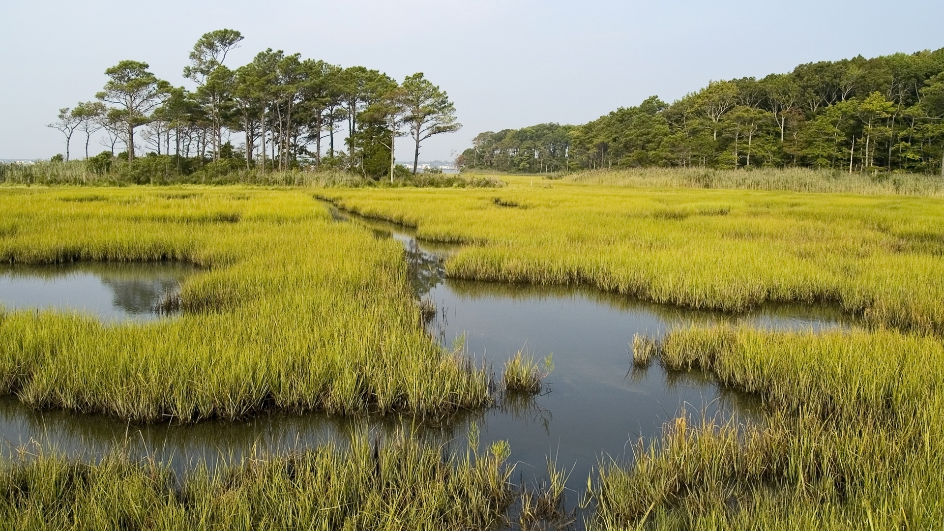 Dreamstime Xxl 3210270 63120caaf1f53