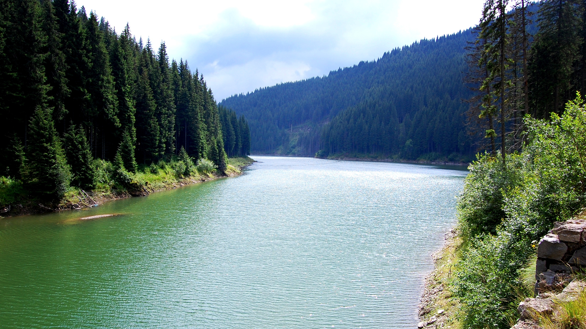 Dreamstime Xxl 9419036 6331dee5084e6