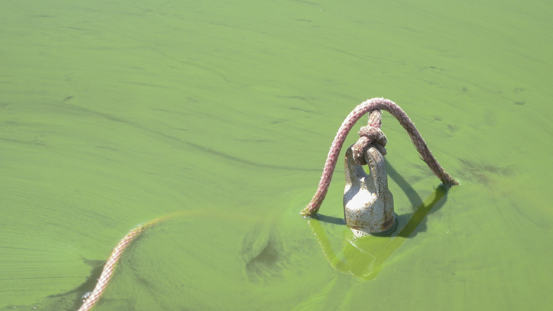 Dreamstime Xxl 50676749 6356f540ebafe