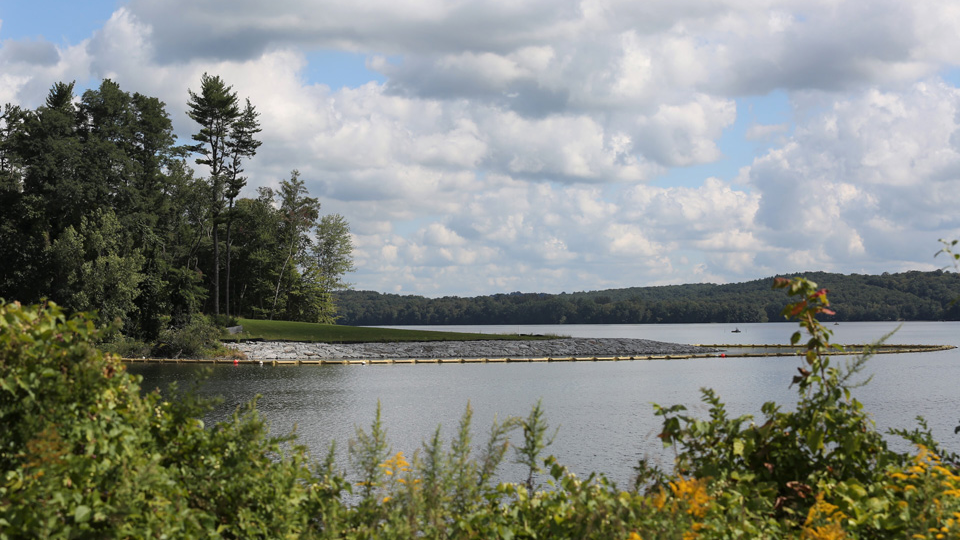 Kensico Shoreline 636977793f31e