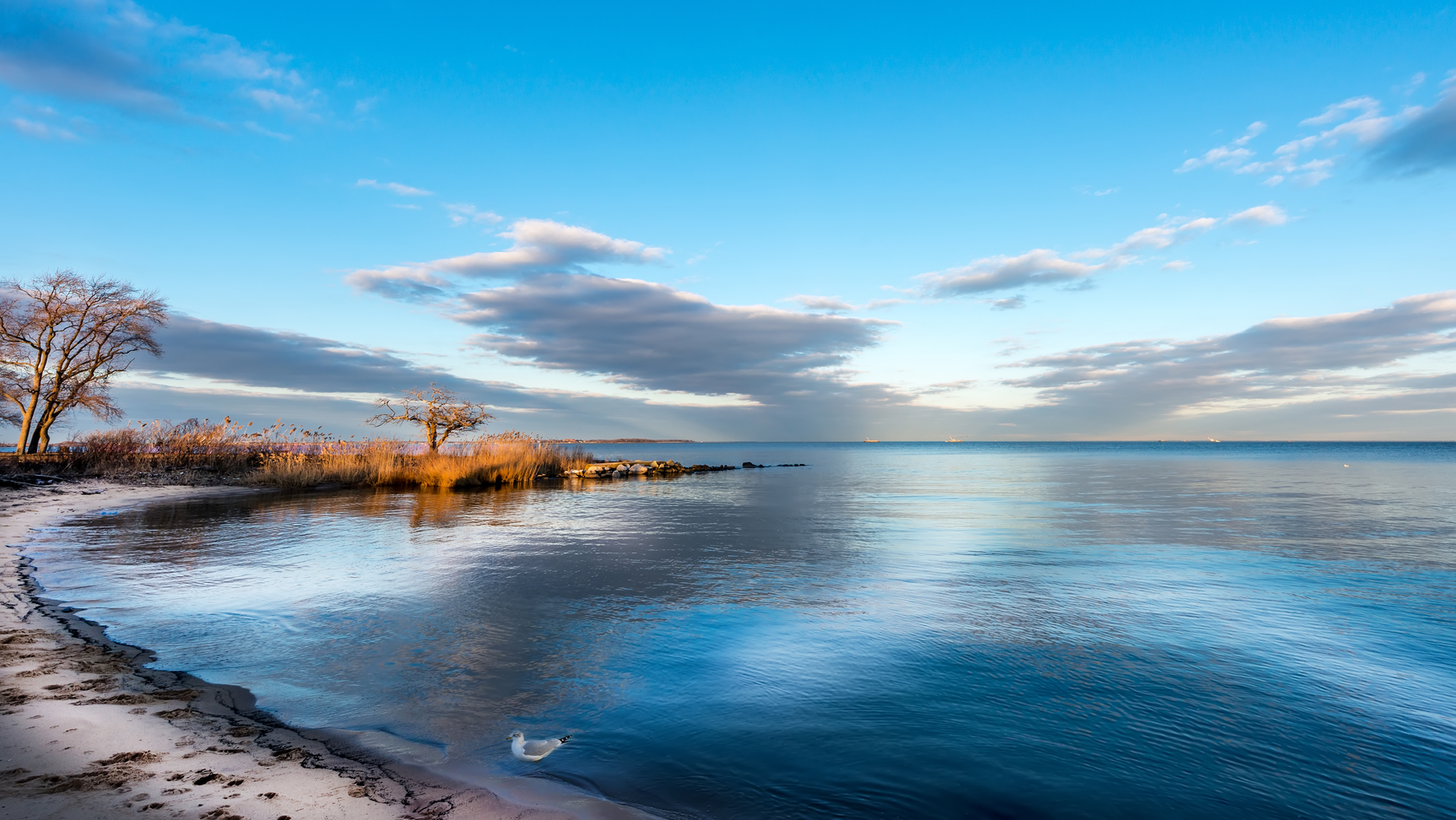 Dreamstime Xxl 51937033 637d0da4d67de