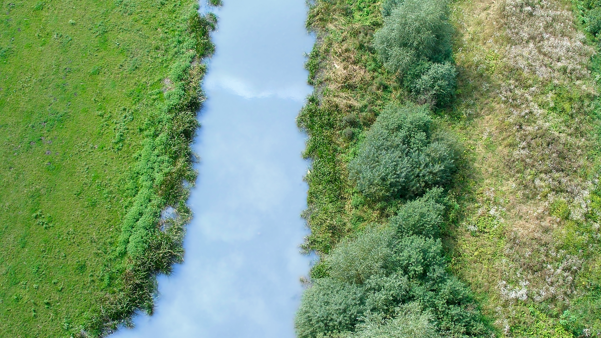 Dreamstime Xxl 13555481 639207d048f4d