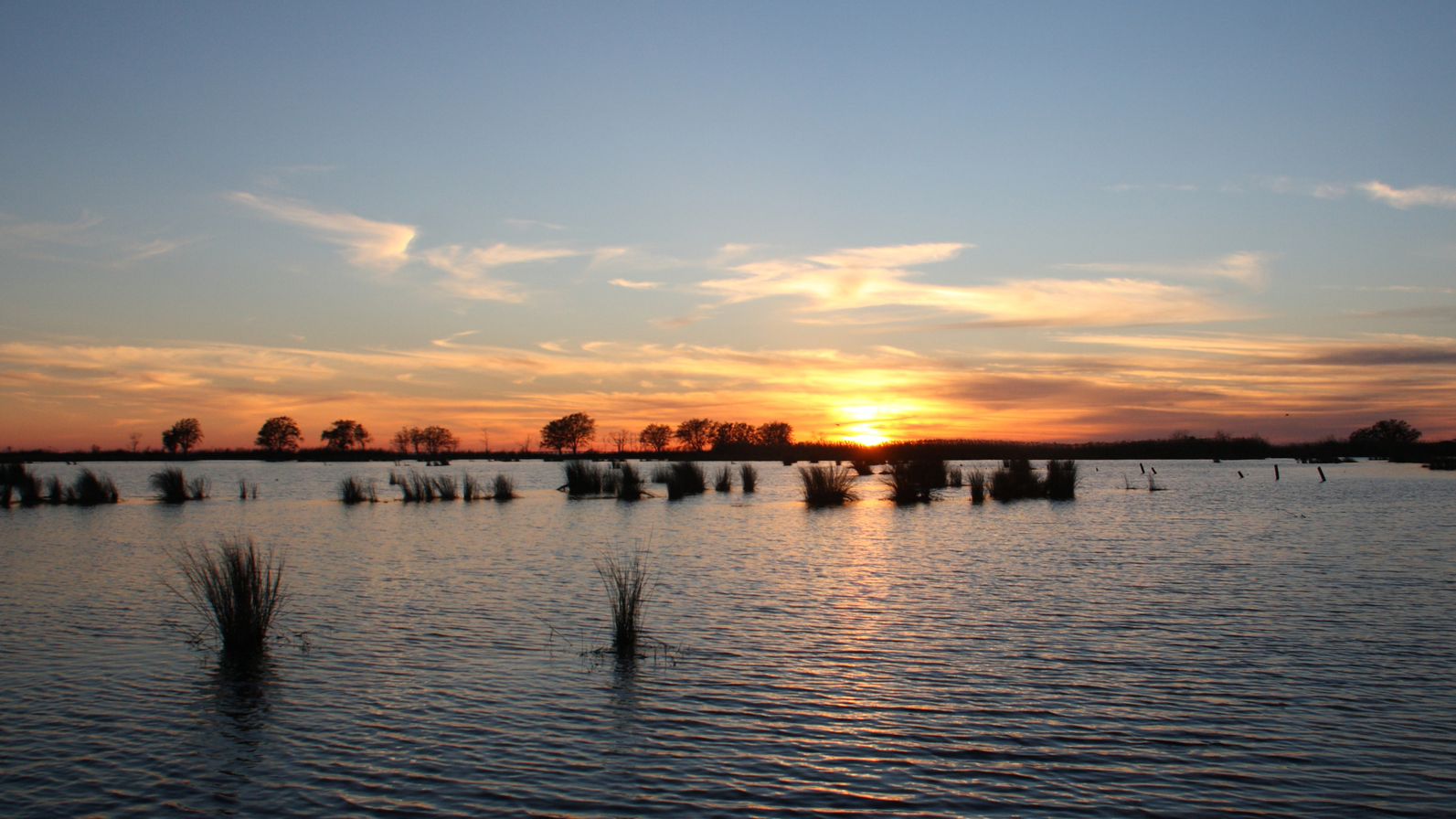Lake Pontchartrain at sunset.