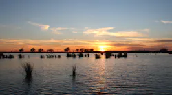 Lake Pontchartrain at sunset.