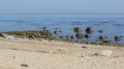 Dreamstime Xxl 183806311 639a1171ab384 Dreamstime Xxl 183806311 639a1171ab384